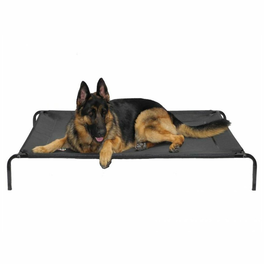 Clearance * Go Pet Club Elevated Cot Bed, 42 In.